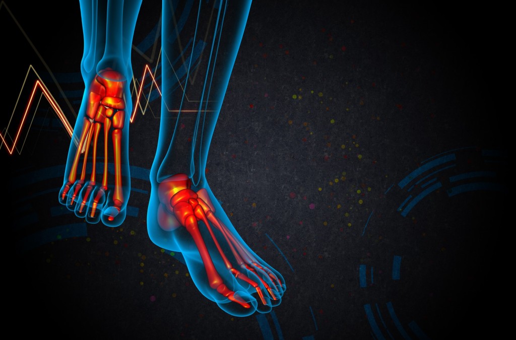 3d render medical illustration of the foot bone
